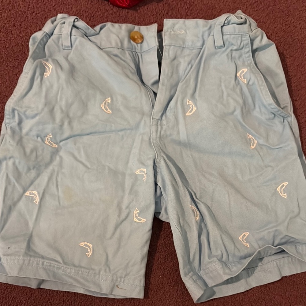 J. Khaki Blue Casual Embroidered Shorts